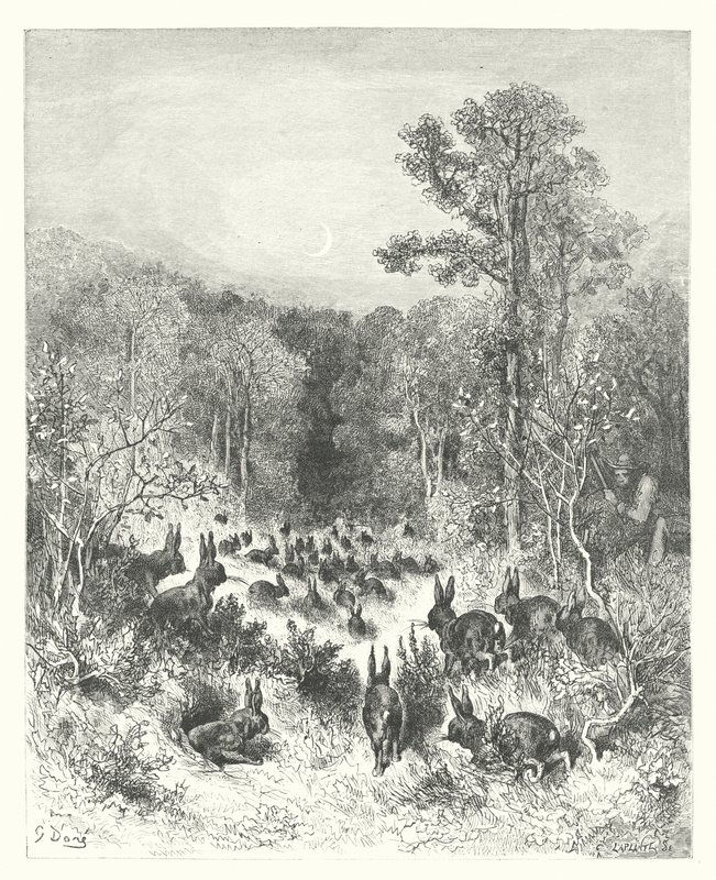 La Fontainen sadut: Fontaine: Kanit (kaiverrus) tekijältä Gustave Dore