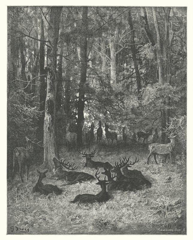 La Fontainen sadut: Fontaine: Sairas hirvi (kaiverrus). tekijältä Gustave Dore