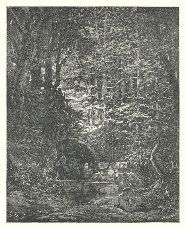 La Fontainen sadut: (kaiverrus): Hirvi katselee itseään virrassa (kaiverrus) tekijältä Gustave Dore