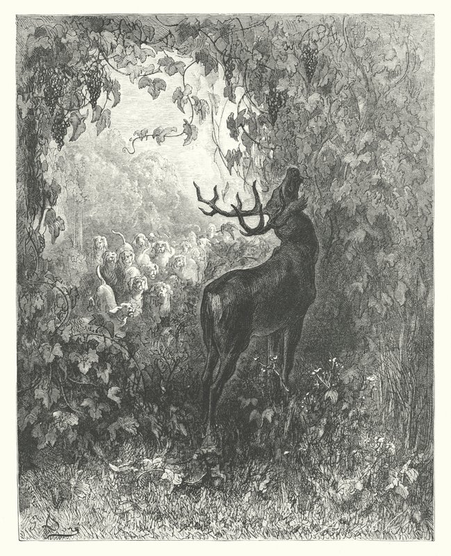 La Fontainen sadut: Fontaine: Hirvi ja viiniköynnös (kaiverrus). tekijältä Gustave Dore