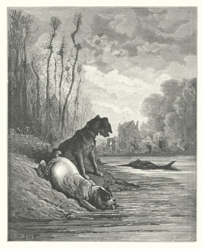 La Fontainen sadut: Fontaine: Kaksi koiraa ja kuollut aasi (kaiverrus). tekijältä Gustave Dore