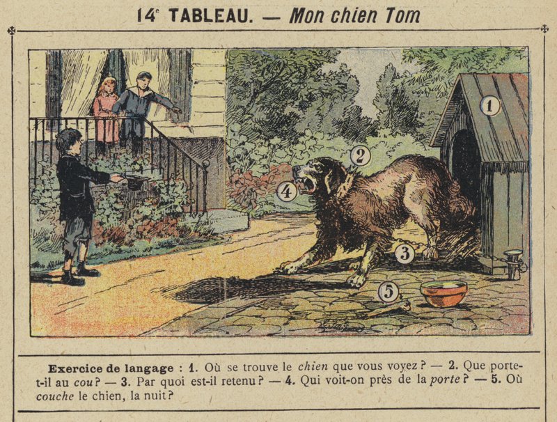 Koirani Tom (värilitra) tekijältä Gustave Fraipont