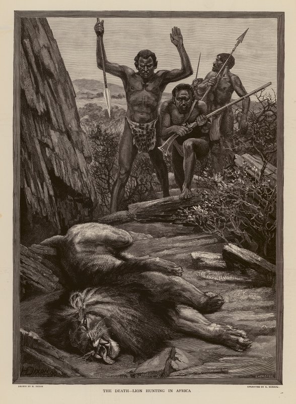 Leijonanmetsästys Afrikassa (kaiverrus) tekijältä H. Dixon