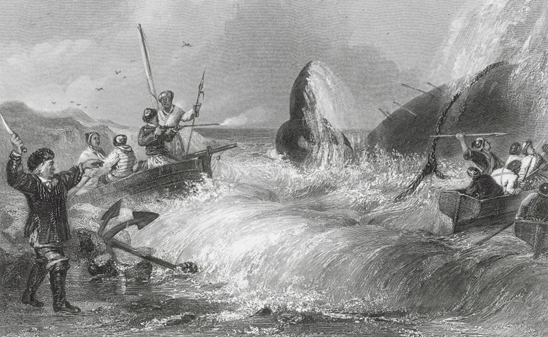Valas rannalla (kaiverrus) tekijältä H. Melville