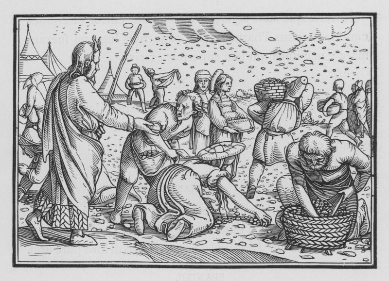 Israelilaiset nurisevat halusta leipää, Exodus XVI, 4 tekijältä Hans after Holbein the Younger