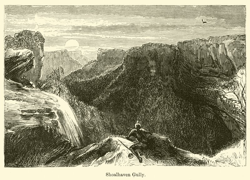 Shoalhaven Gully tekijältä Harden Sidney Melville