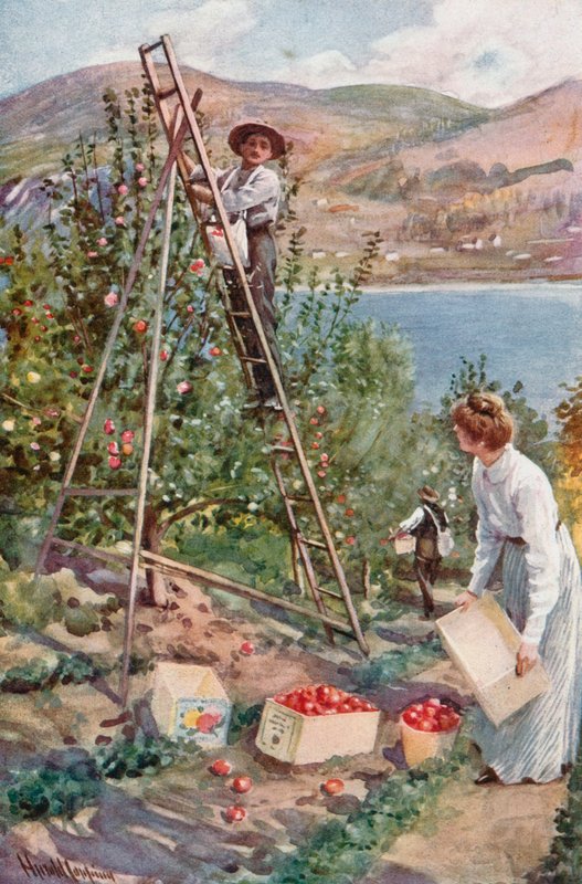 Hedelmätila Nelsonissa, Brittiläisessä Kolumbiassa tekijältä Harold Copping