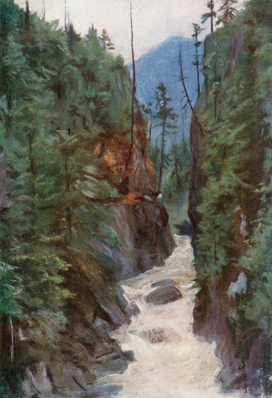 Capilano Canyon, lähellä Pohjois-Vancouveria tekijältä Harold Copping