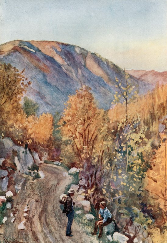 Mount Nelson tekijältä Harold Copping