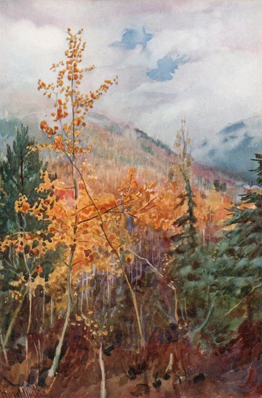 Vuoren rinteellä lähellä Nelsonia, British Columbiassa tekijältä Harold Copping