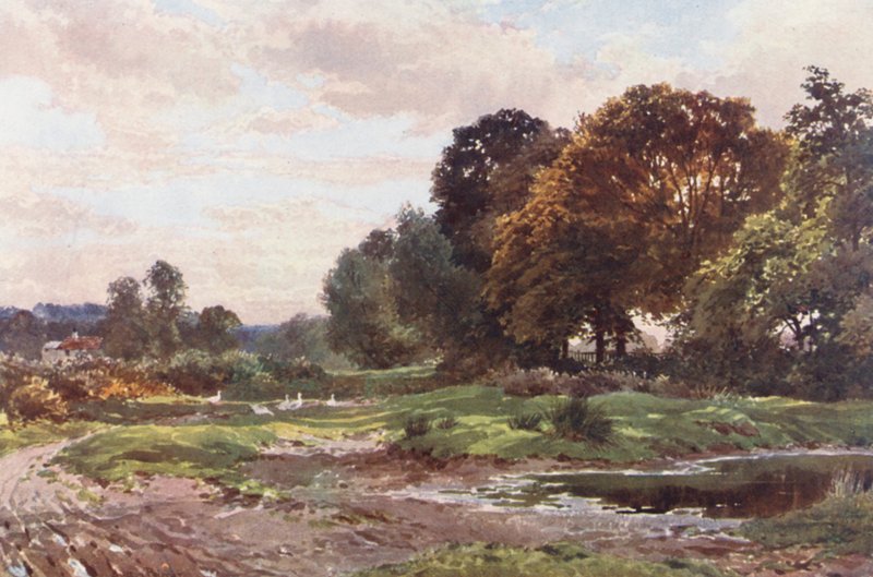 A Corner of Esher Common (värilitro) tekijältä Harold Sutton Palmer