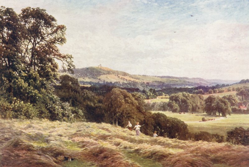 A Hayfield, Wonersh (värilitro). tekijältä Harold Sutton Palmer