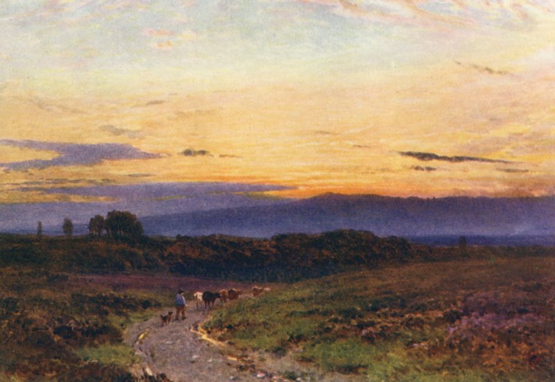 A Summer