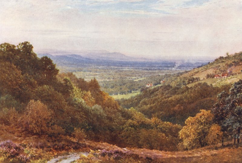 A Wide Stretch, Gibbetistä, Hindhead (värilitraus) tekijältä Harold Sutton Palmer
