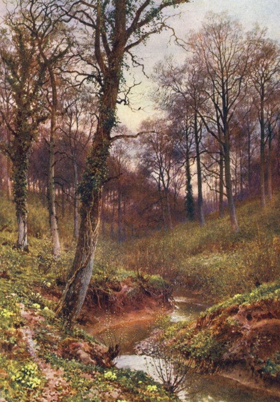 Evening Solitude, Ockley (värilitografia) tekijältä Harold Sutton Palmer