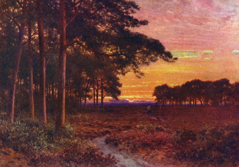 Ilta nummilla, Hindhead (värilitro) tekijältä Harold Sutton Palmer