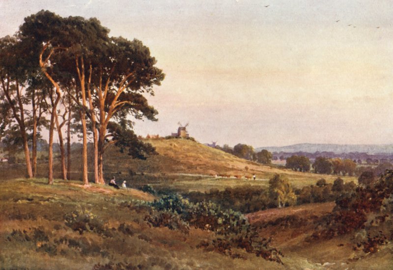 Reigate Heath, ilta (värilitro) tekijältä Harold Sutton Palmer