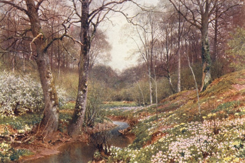 Kevätkukkia, lähellä Dorkingia (värilitro) tekijältä Harold Sutton Palmer