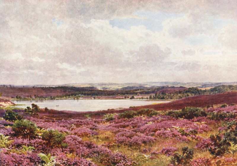 Suuri lampi, Frensham (värilitro) tekijältä Harold Sutton Palmer