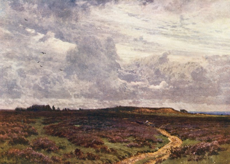 The Sandy Road, Milford Heath (värilitro) tekijältä Harold Sutton Palmer
