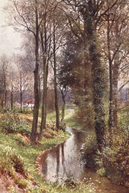 Water Lane, lähellä East Horsleyta (värilitro). tekijältä Harold Sutton Palmer
