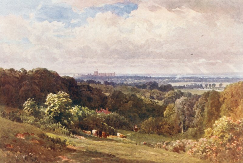 Windsorin linna Cooper