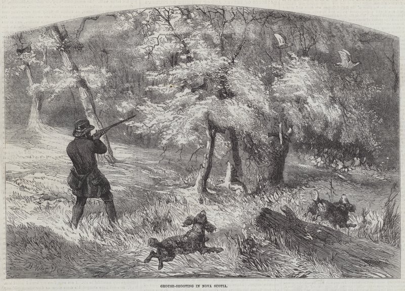 Grouse-ammunta Nova Scotiassa tekijältä Harrison William Weir