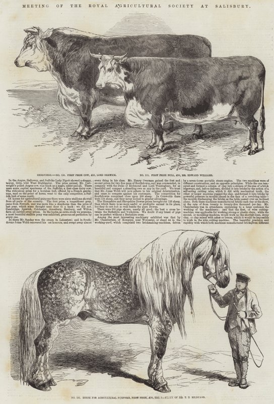 Royal Agricultural Societyn kokous Salisburyssa tekijältä Harrison William Weir