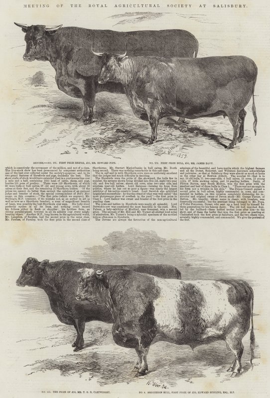 Royal Agricultural Societyn kokous Salisburyssa tekijältä Harrison William Weir