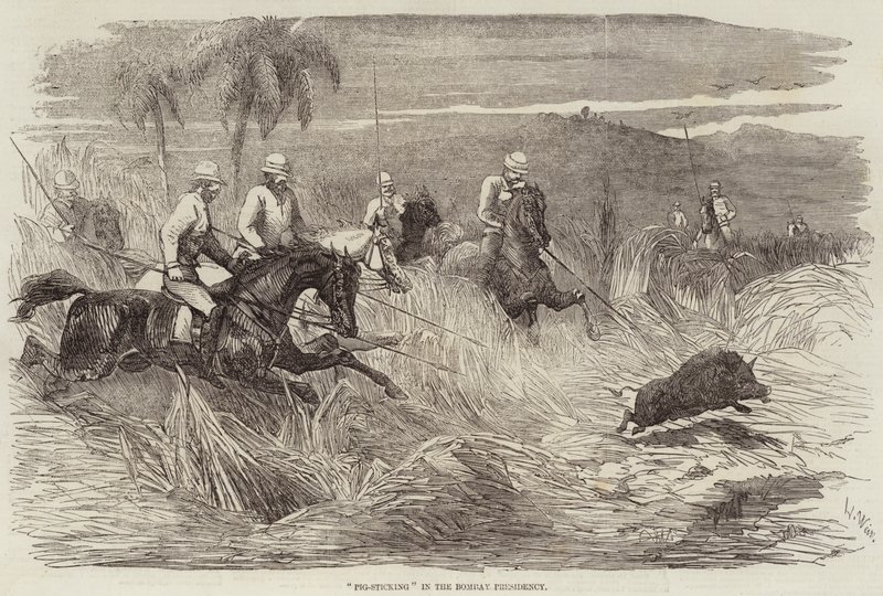 Pig-Sticking Bombayn presidenttikaudella tekijältä Harrison William Weir