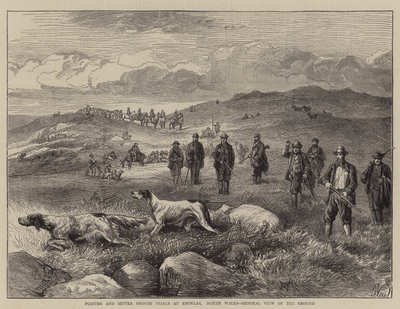 Pointer and Setter Grouse Trials Rhiwlasissa, Pohjois-Walesissa, yleinen näkymä maasta tekijältä Harrison William Weir