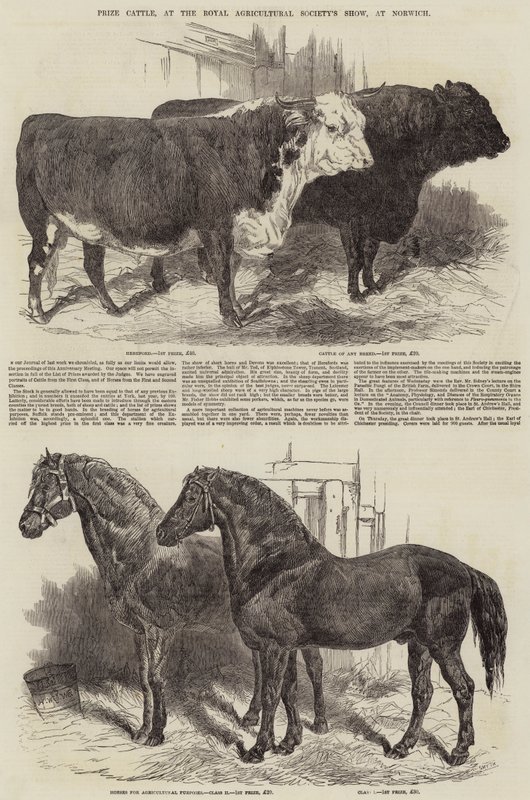 Palkintokarja Royal Agricultural Societyn näyttelyssä Norwichissa tekijältä Harrison William Weir