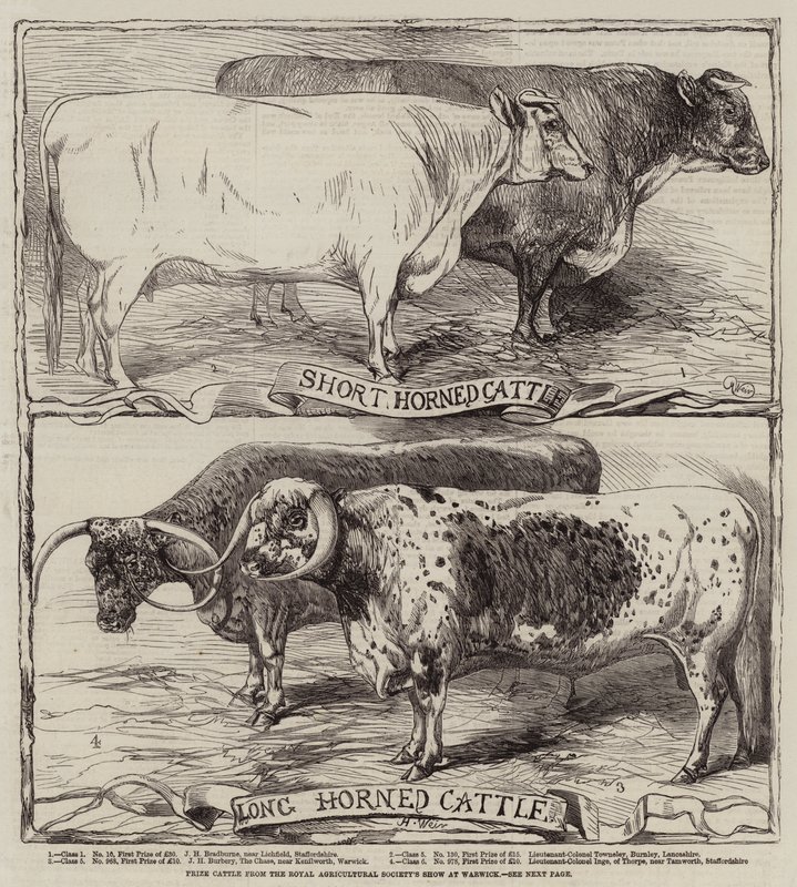 Palkintokarja Royal Agricultural Societyn Warwickin näyttelystä tekijältä Harrison William Weir