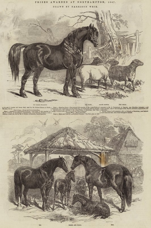 Palkinnot jaettiin Northamptonissa 1847 tekijältä Harrison William Weir