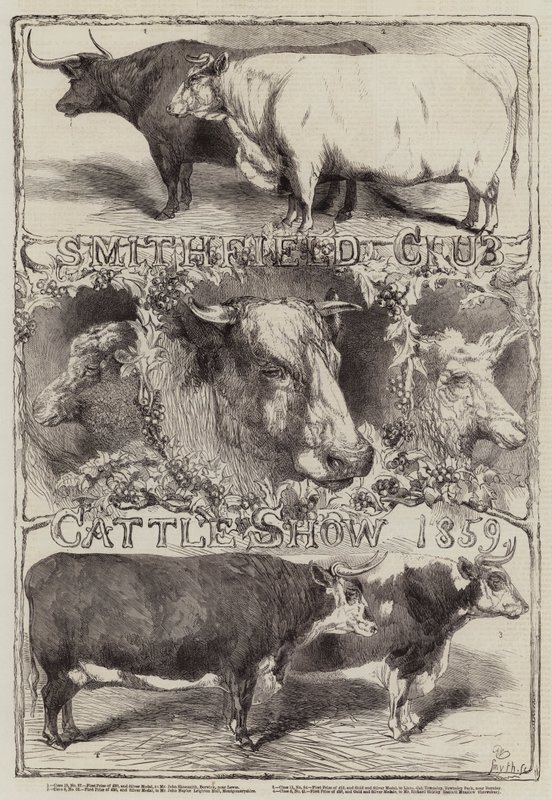 Smithfield Clubin karjanäyttely, 1859 tekijältä Harrison William Weir