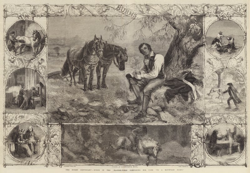 The Burns Centenary, Burns in the Plough-Field säveltämässä runoaan vuoristokakkaralle tekijältä Harrison William Weir