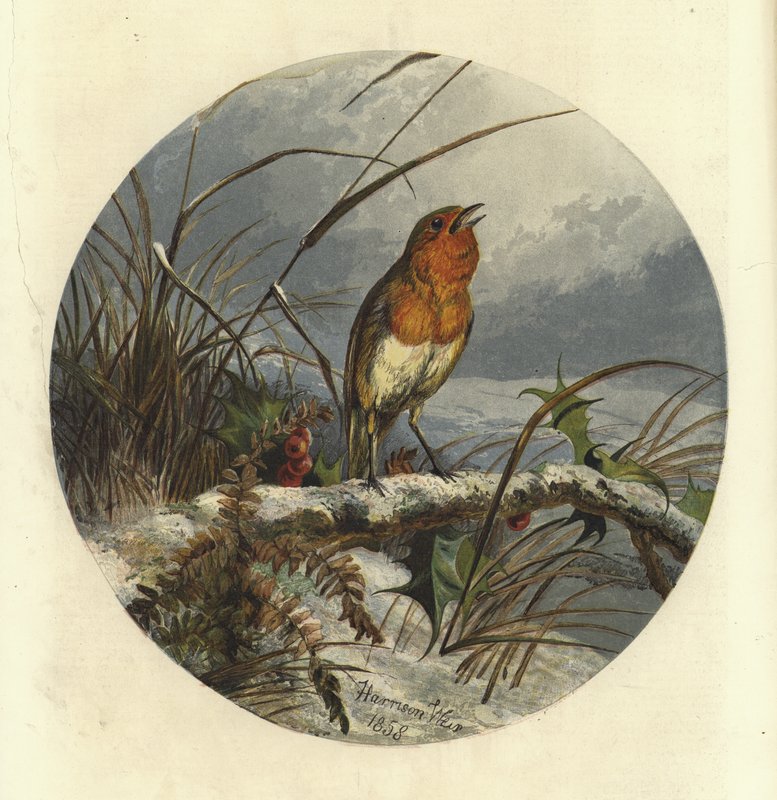 Joululaulun laulaja tekijältä Harrison William Weir