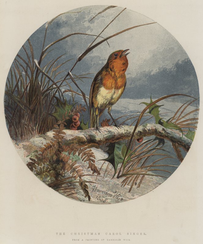 Joululaulun laulaja (chromolitho) tekijältä Harrison William Weir