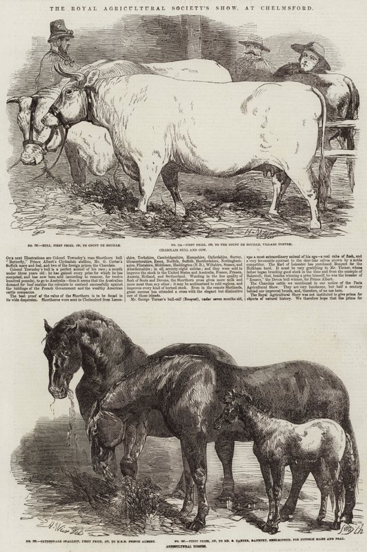 Royal Agricultural Societyn näyttely Chelmsfordissa tekijältä Harrison William Weir