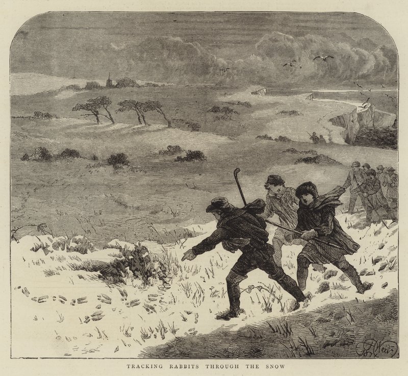 Jäljittää kaneja lumen läpi tekijältä Harrison William Weir