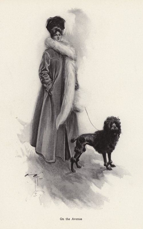 Nainen pitkässä takissa villakoiran kanssa (litho) tekijältä Harrison Fisher