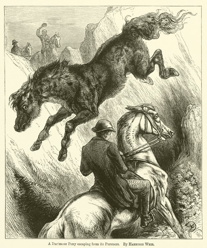 Dartmoor-poni pakenee takaa-ajoitaan tekijältä Harrison William Weir