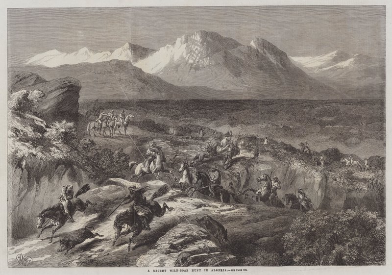Viimeaikainen villisikajahti Algeriassa tekijältä Harrison William Weir