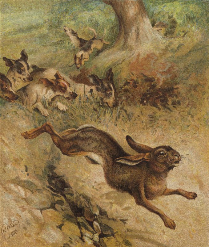 Run for Life (chromolitho) tekijältä Harrison William Weir