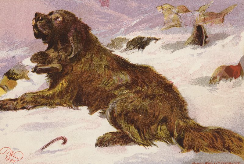 Alppi pelastamassa Peter-setää (värilitografia) tekijältä Harrison William Weir