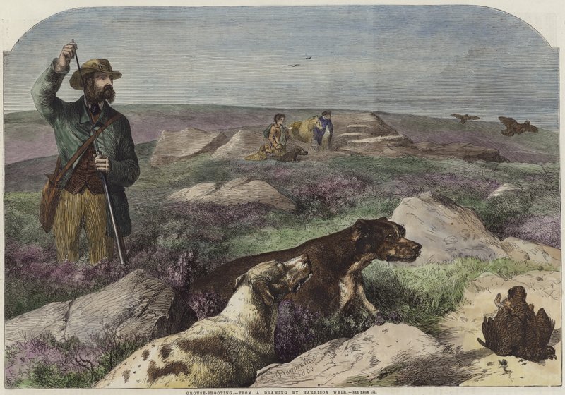 Metsän ammunta tekijältä Harrison William Weir