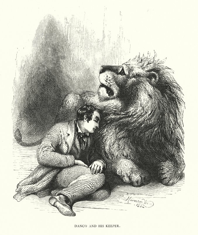 Leijona ja hänen vartijansa (kaiverrus) tekijältä Harrison William Weir