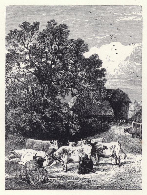 Lehmien lypsäminen (kaiverrus) tekijältä Harrison William Weir