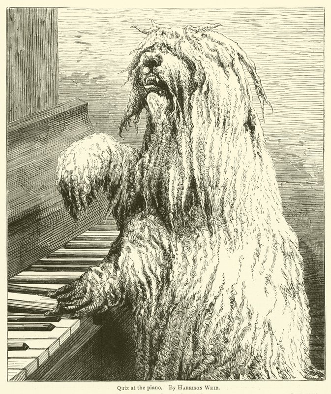 Tietovisa pianolla tekijältä Harrison William Weir