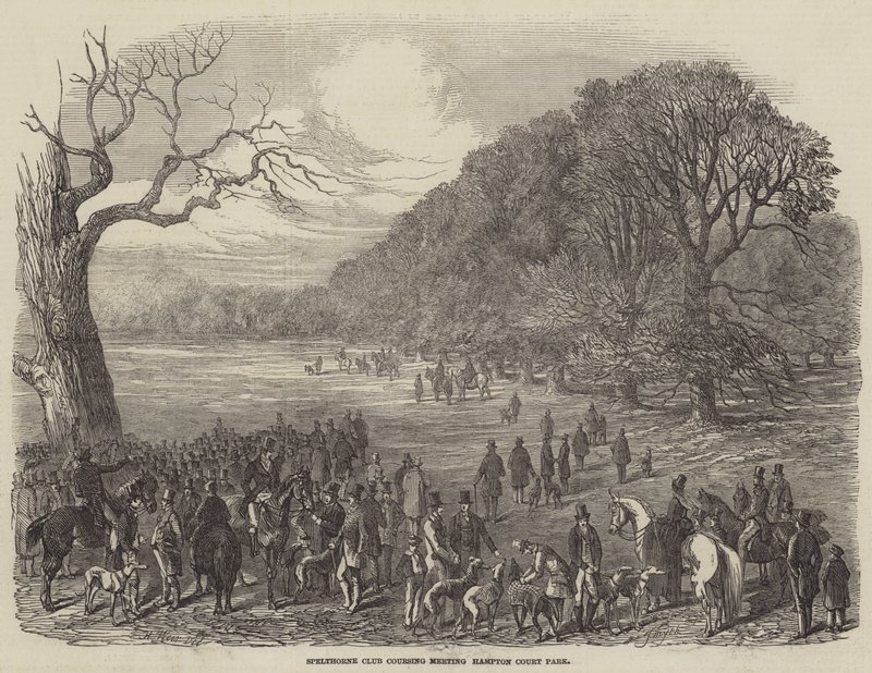 Spelthorne Club Coursing Meeting, Hampton Court Park tekijältä Harrison William Weir